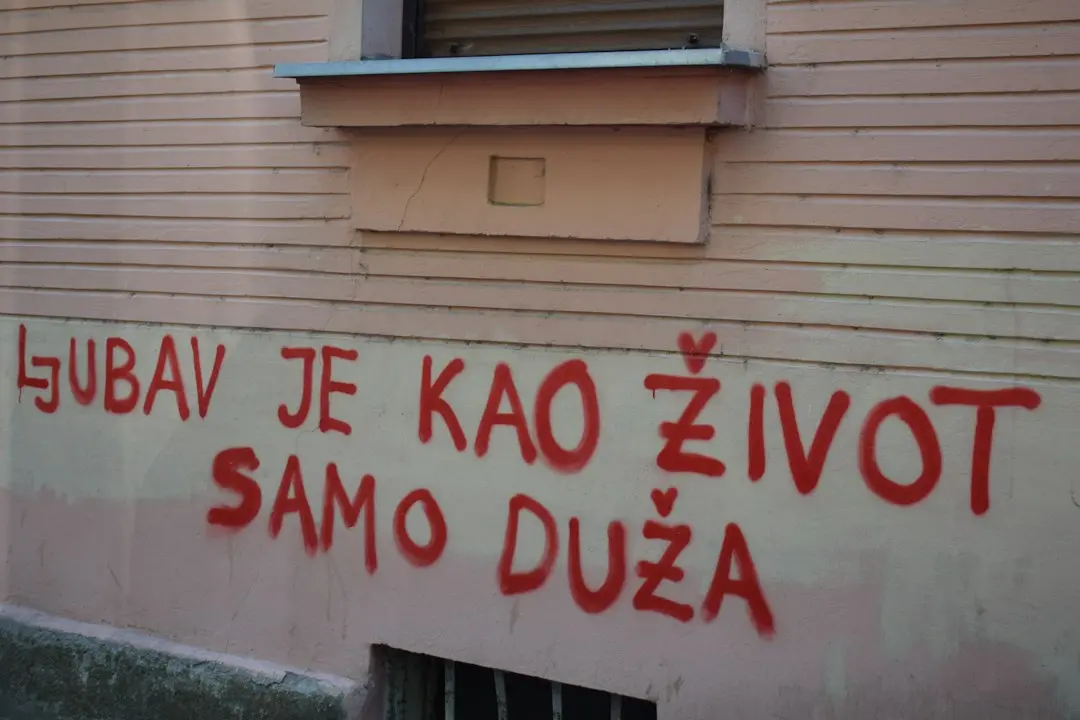 Întrebări de elevi despre mașini electrice și poziția Tesla pe piață